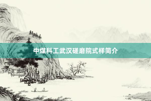 中煤科工武汉磋磨院式样简介