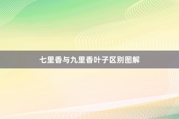 七里香与九里香叶子区别图解
